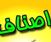 اثر بخشی اصناف بر اقتصاد کشور (سیده مینا دیوبند – سردبیر روزنامه تفاهم)