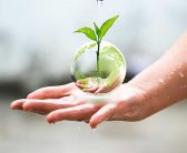 کارآفرینی و کاهش مصرف آب (سیده مینا دیوبند – سردبیر روزنامه )