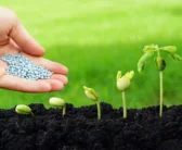 خطر استفاده بی‌رویه از کودهای شیمیایی در کشاورزی ( وحیده میرزایی – کارشناس سلامت )