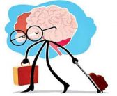 استارت‌آپ‌ها؛ نسخه‌ای برای درمان فرار مغزها (مهندس امین رشیدی)