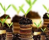 تقویت اقتصاد محلی از مسیر گیاهان دارویی ( مهندس فاطمه یحیائی )